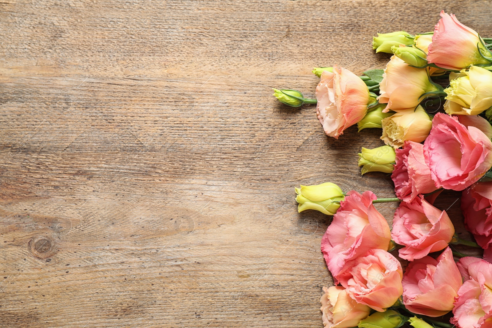 Photo of Flat lay composition with beautiful Eustoma flowers on wooden table, space for text