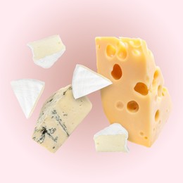 Image of Different kinds of cheese falling on light pink background