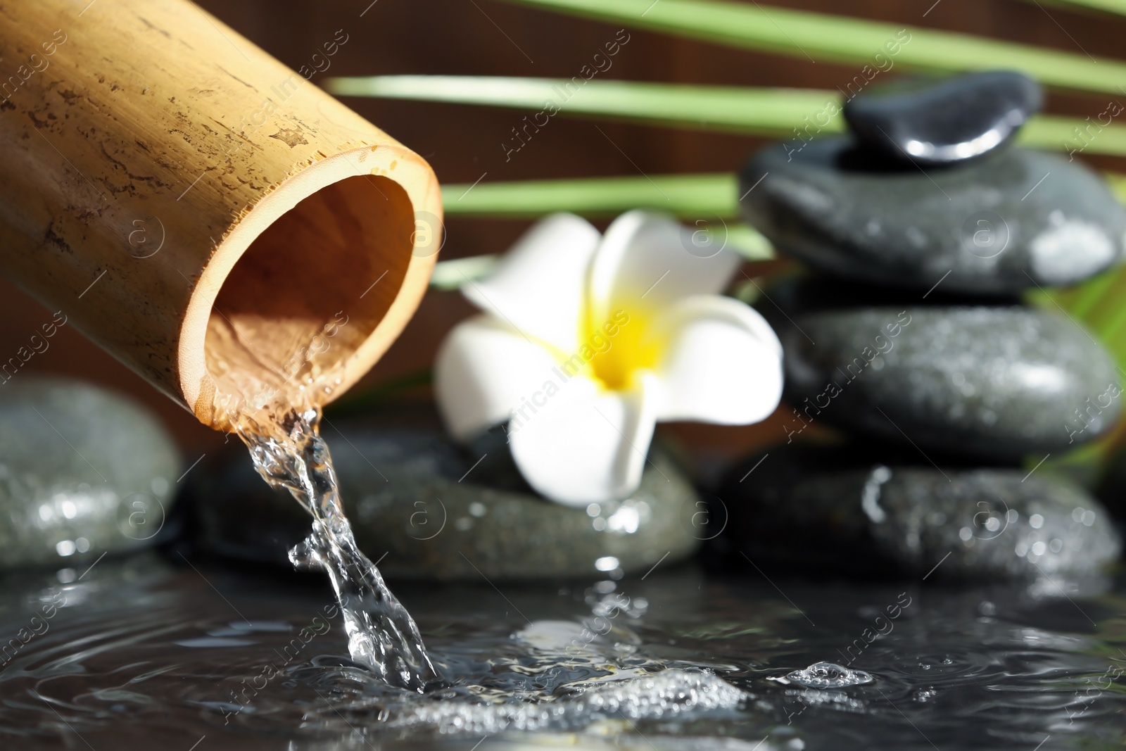 Photo of Traditional bamboo fountain with spa stones and flower, closeup. Space for text