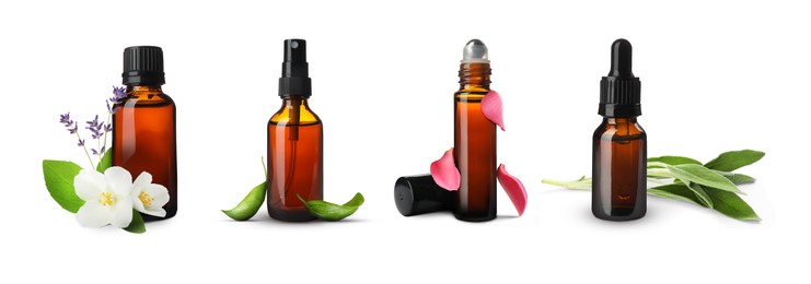 Image of Set of different essential oils in bottles and ingredients on white background