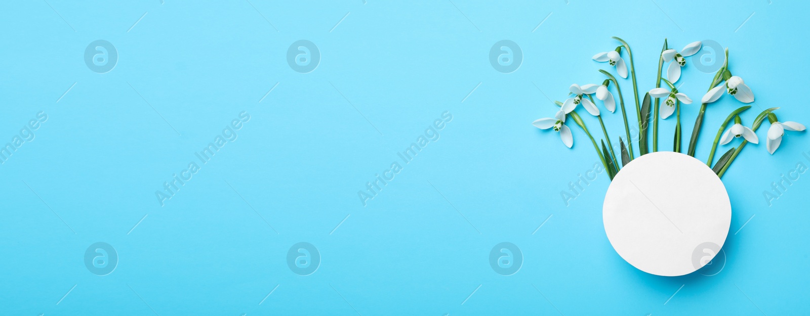 Photo of Beautiful snowdrops and paper card on light blue background, flat lay. Space for text