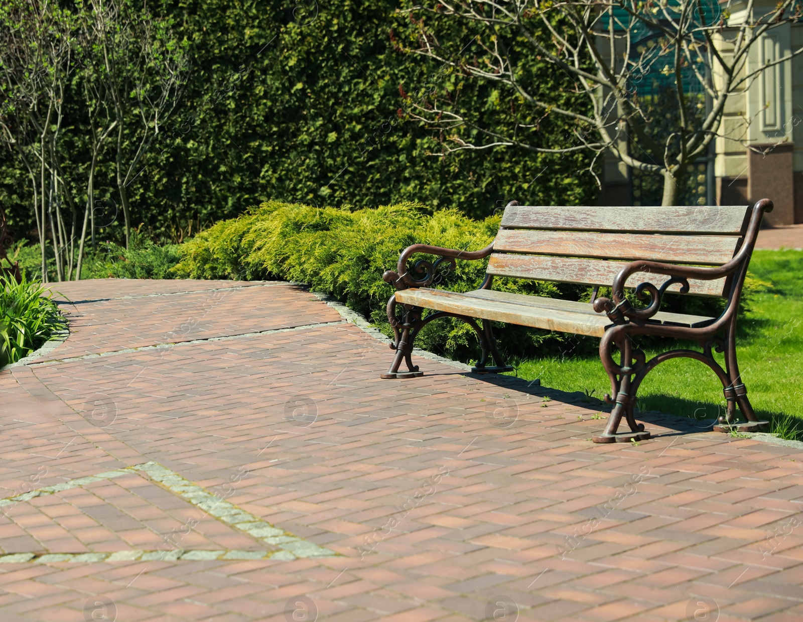 Photo of Beautiful view of wooden bench in park