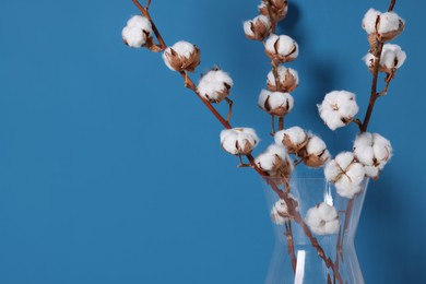 Photo of Cotton branches with fluffy flowers in vase on light blue background, closeup. Space for text