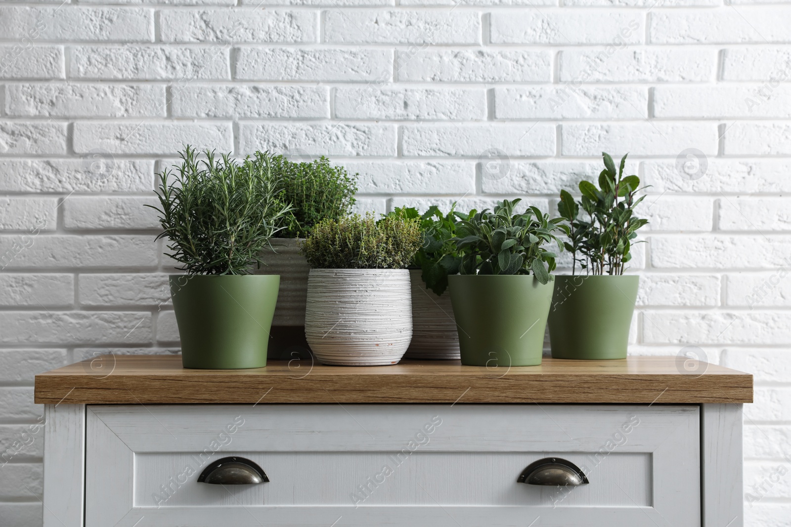 Photo of Different aromatic potted herbs on chest of drawers near white brick wall