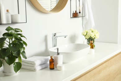 Photo of Houseplant, bath accessories, sink and roses in bathroom