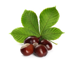 Photo of Horse chestnuts and tree leaf on white background