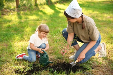 Photo of Mother and her daughter planting tree together in garden