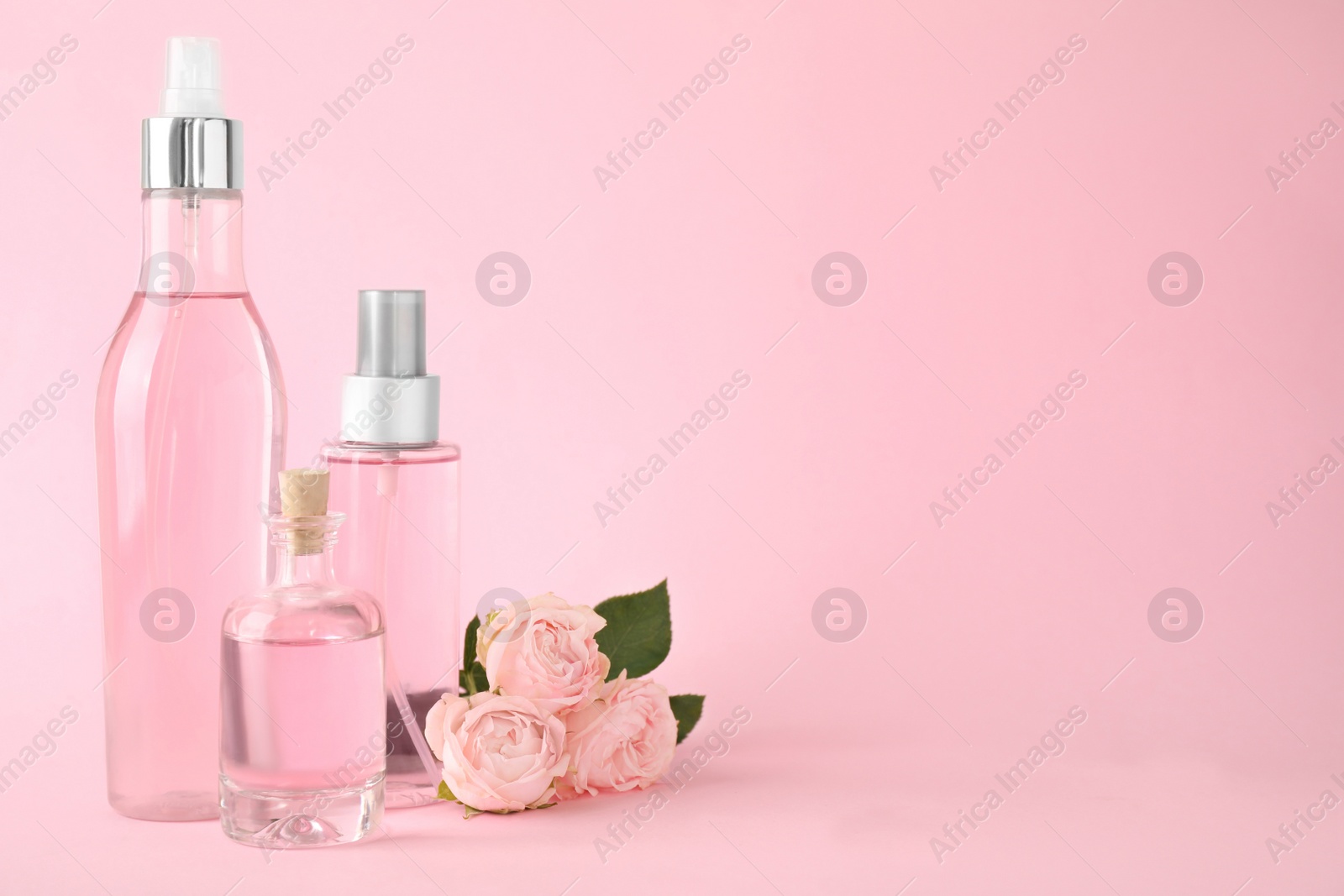 Photo of Bottles of essential oil and roses on pink background. Space for text