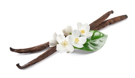 Image of Dried aromatic vanilla sticks, beautiful flowers and green leaves on white background 