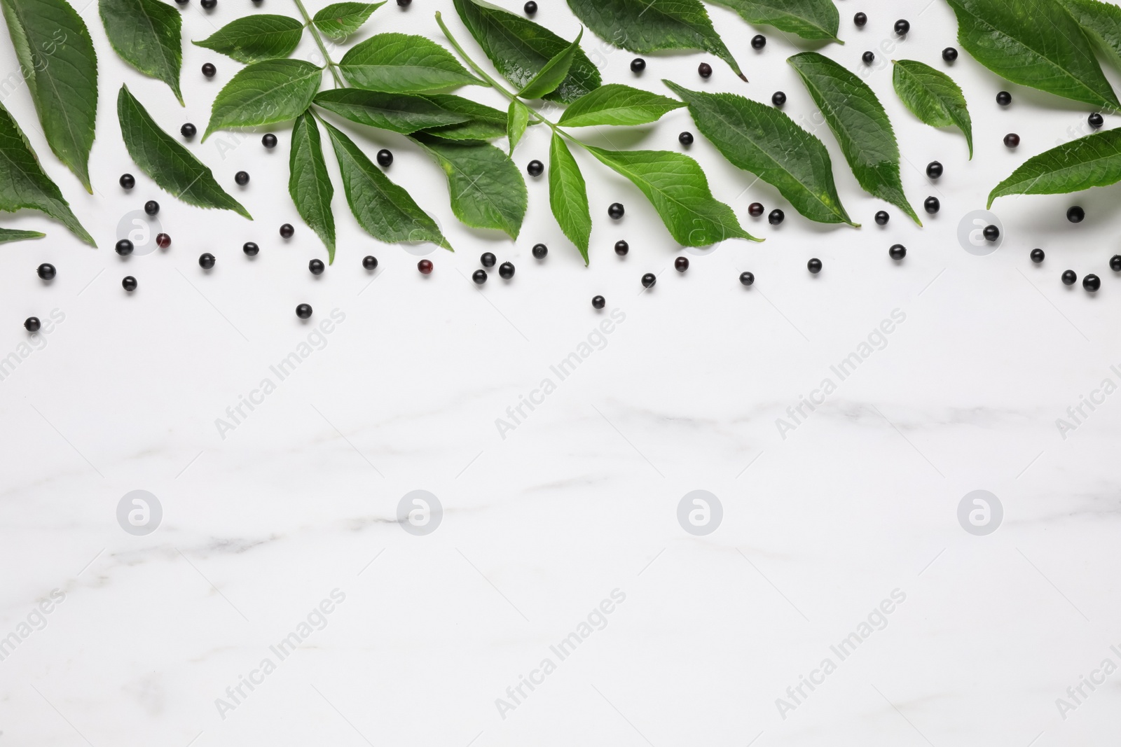 Photo of Ripe elderberries with green leaves on white marble table, flat lay. Space for text