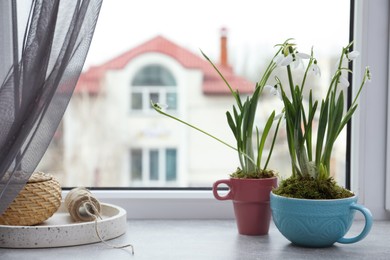 Photo of Beautiful potted snowdrops on light grey window sill. Space for text