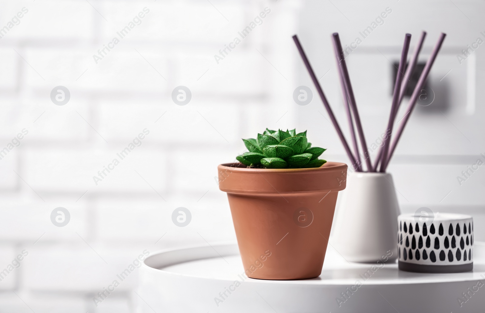 Photo of Beautiful succulent on white table against brick wall, space for text. Home plant