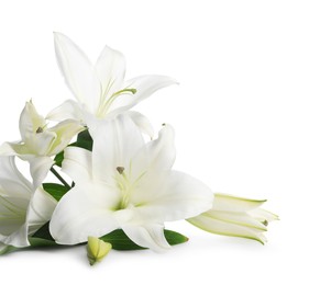 Photo of Beautiful fresh lily flowers isolated on white