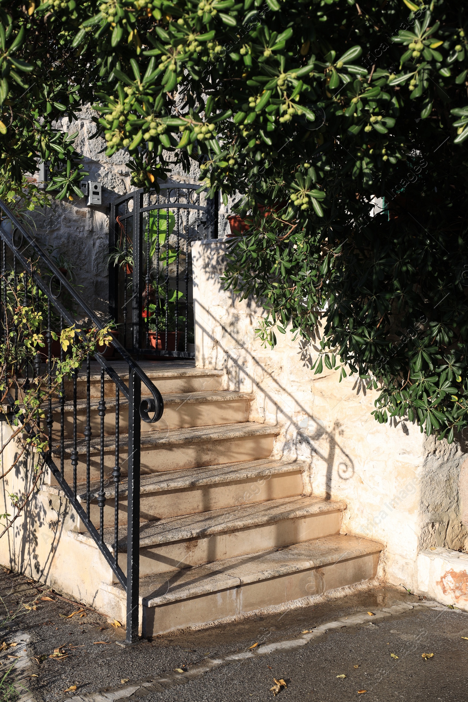 Photo of View of concrete stairs with metal handrails and plants near house outdoors