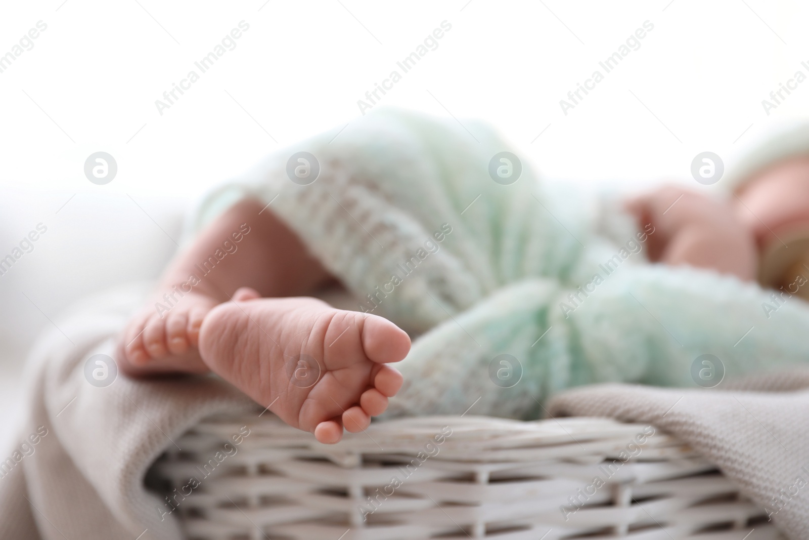Photo of Newborn baby lying on plaid in basket, closeup of legs