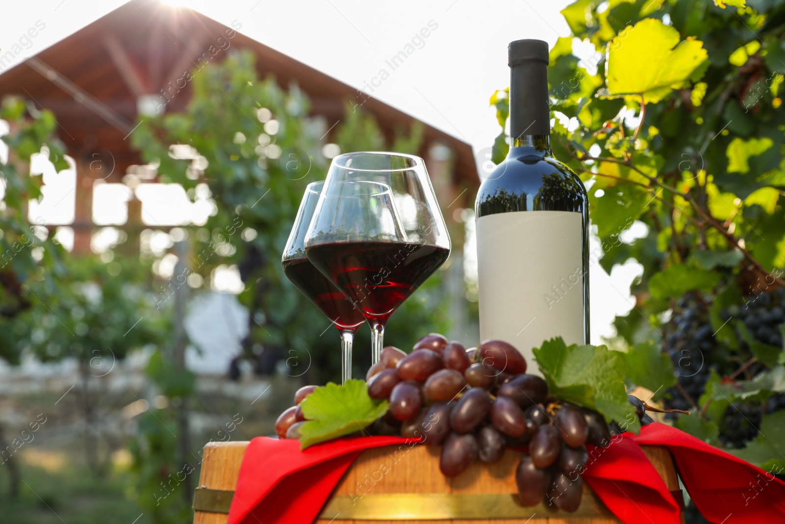 Photo of Composition with wine and ripe grapes on barrel in vineyard