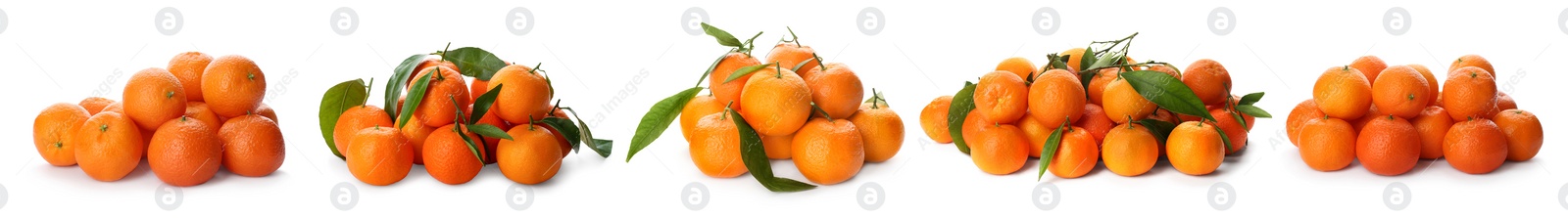 Image of Set with fresh ripe tangerines on white background. Banner design