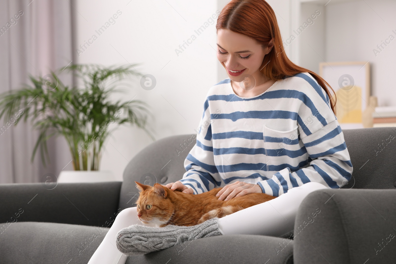 Photo of Happy woman with her cute cat on sofa at home