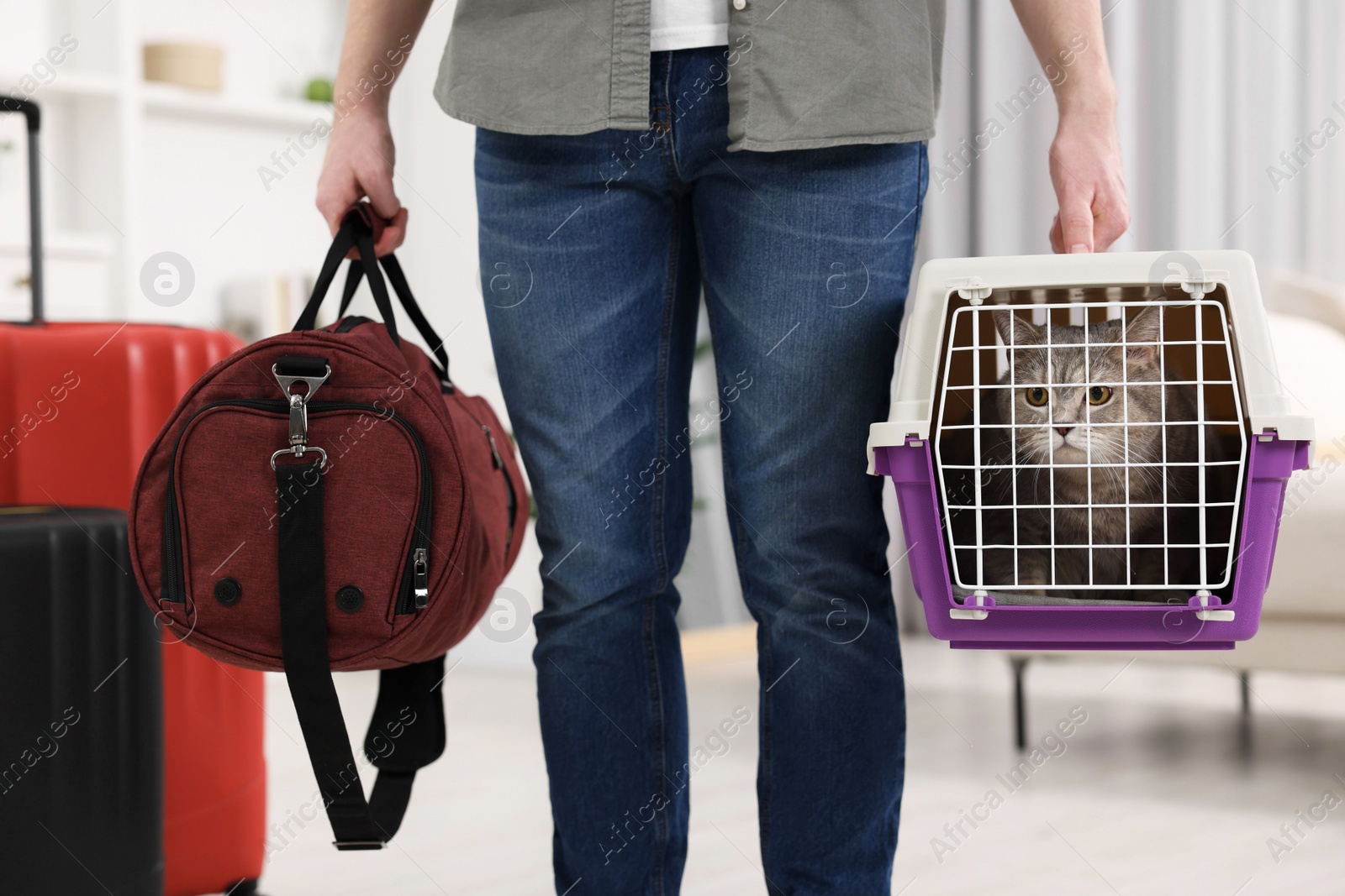 Photo of Travel with pet. Man holding carrier with cute cat and bag at home, closeup