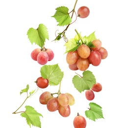 Image of Fresh ripe grapes with green leaves falling on white background