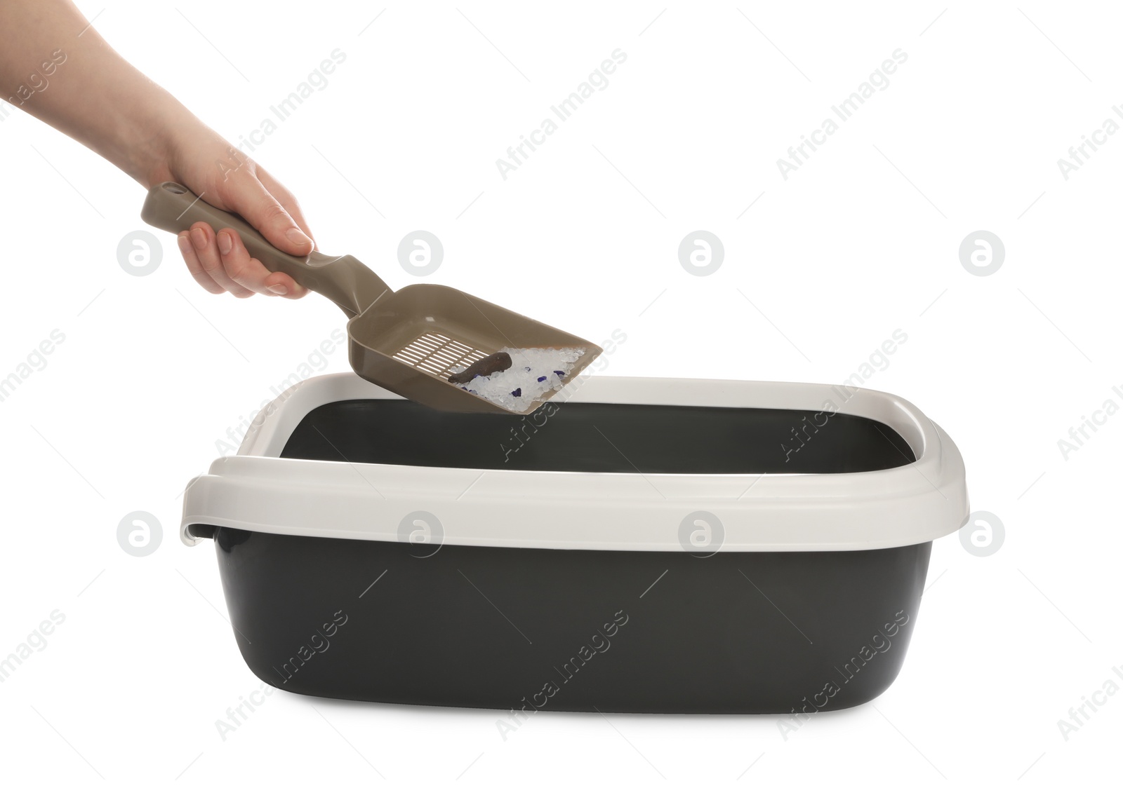 Photo of Woman cleaning cat litter tray on white background, closeup