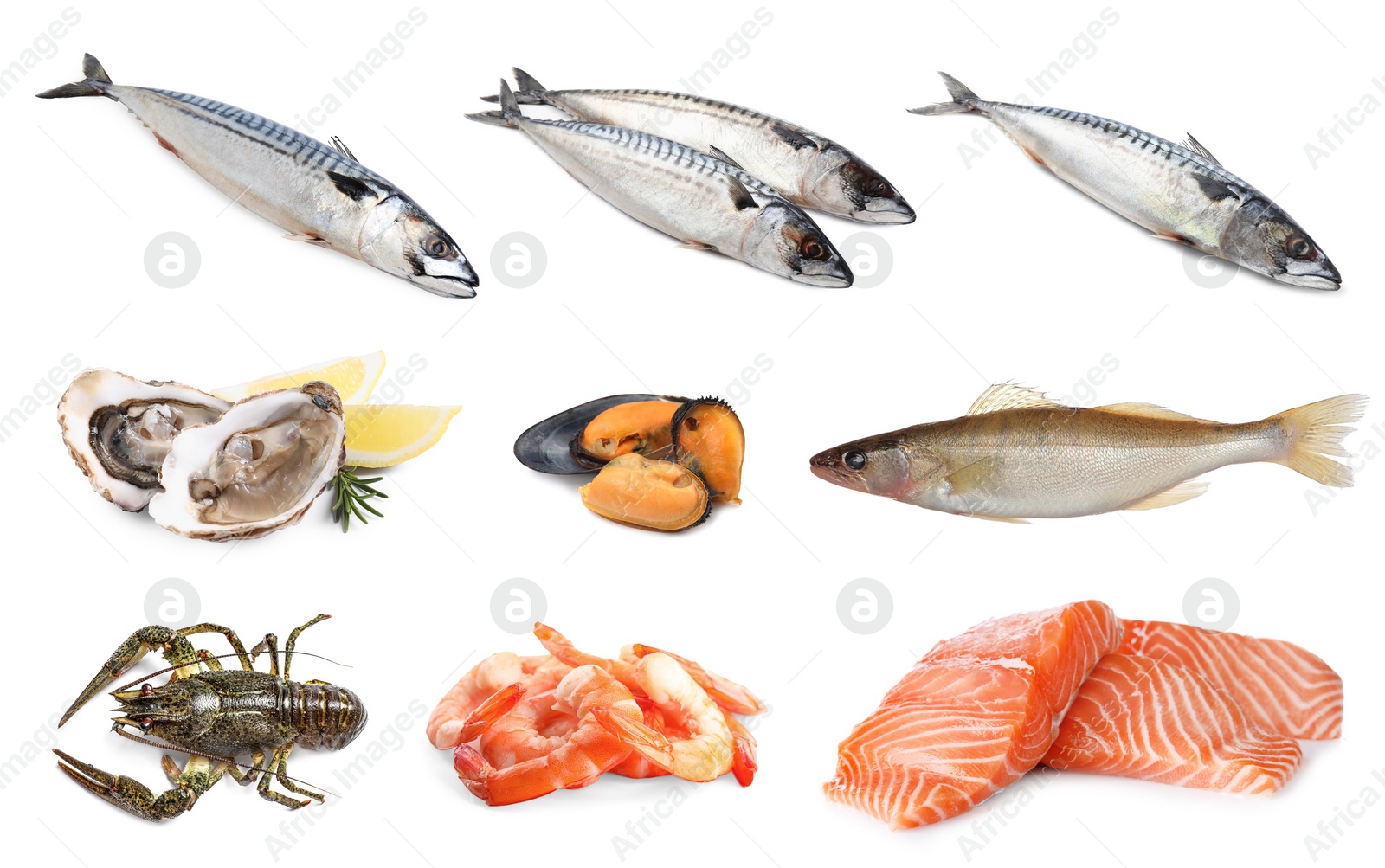 Image of Collage with different seafood on white background