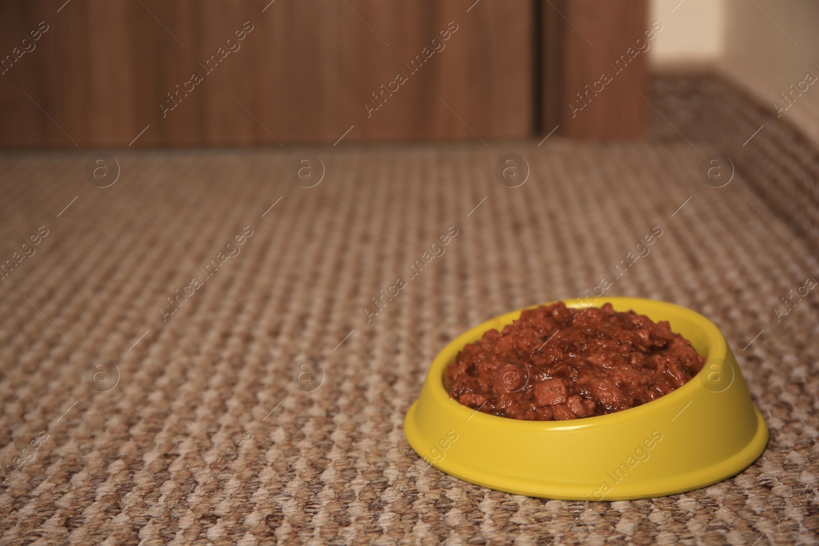 Photo of Wet pet food in feeding bowl on soft carpet indoors. Space for text