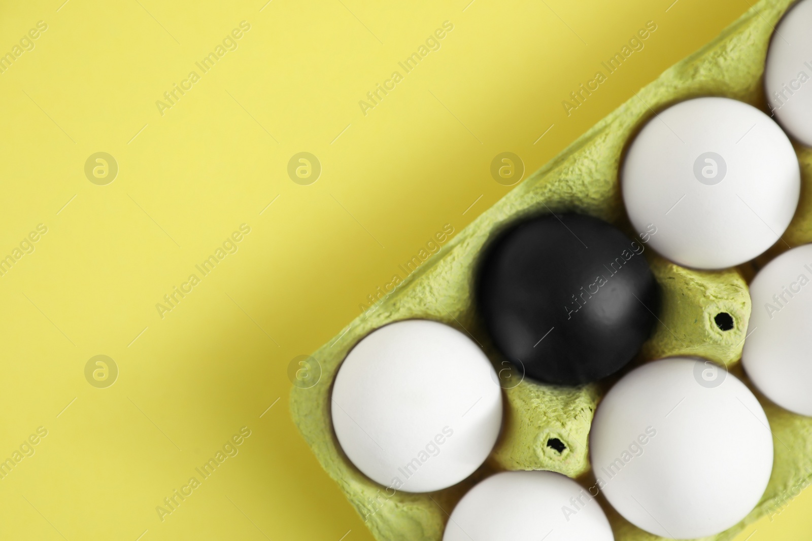 Photo of Black egg among others in box on yellow background, top view. Space for text