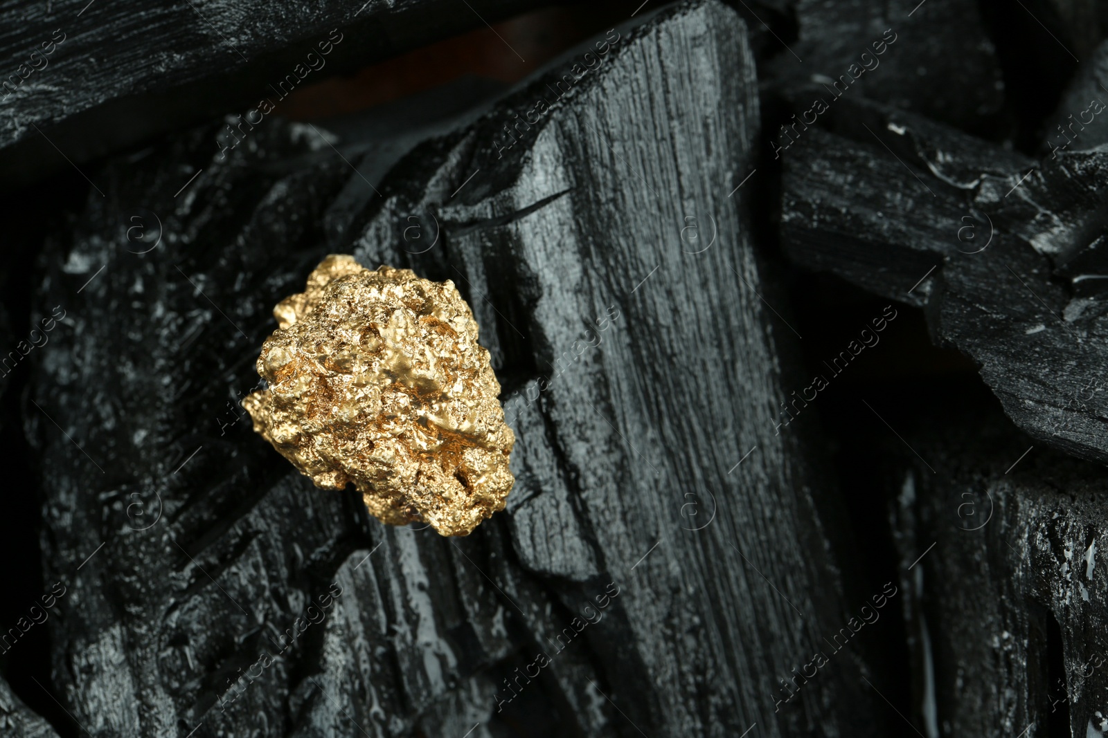 Photo of Shiny gold nugget on coal, closeup. Space for text