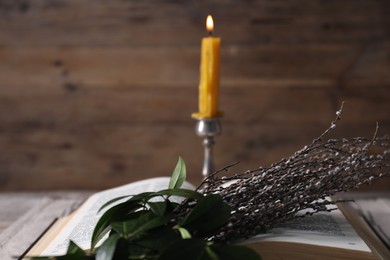 Bible, willow branches and burning candle on table, closeup