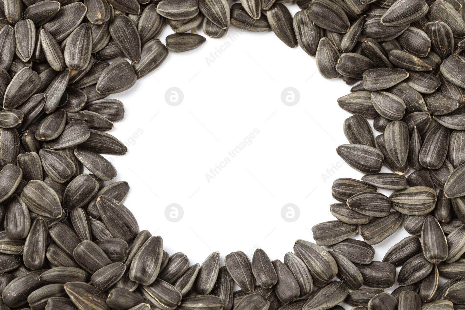 Photo of Frame of raw sunflower seeds on white background, top view