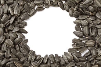 Photo of Frame of raw sunflower seeds on white background, top view