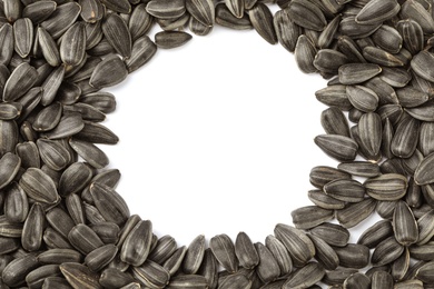 Frame of raw sunflower seeds on white background, top view