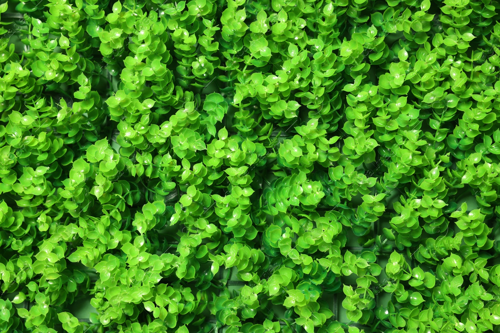 Photo of Green artificial plants as background, closeup view