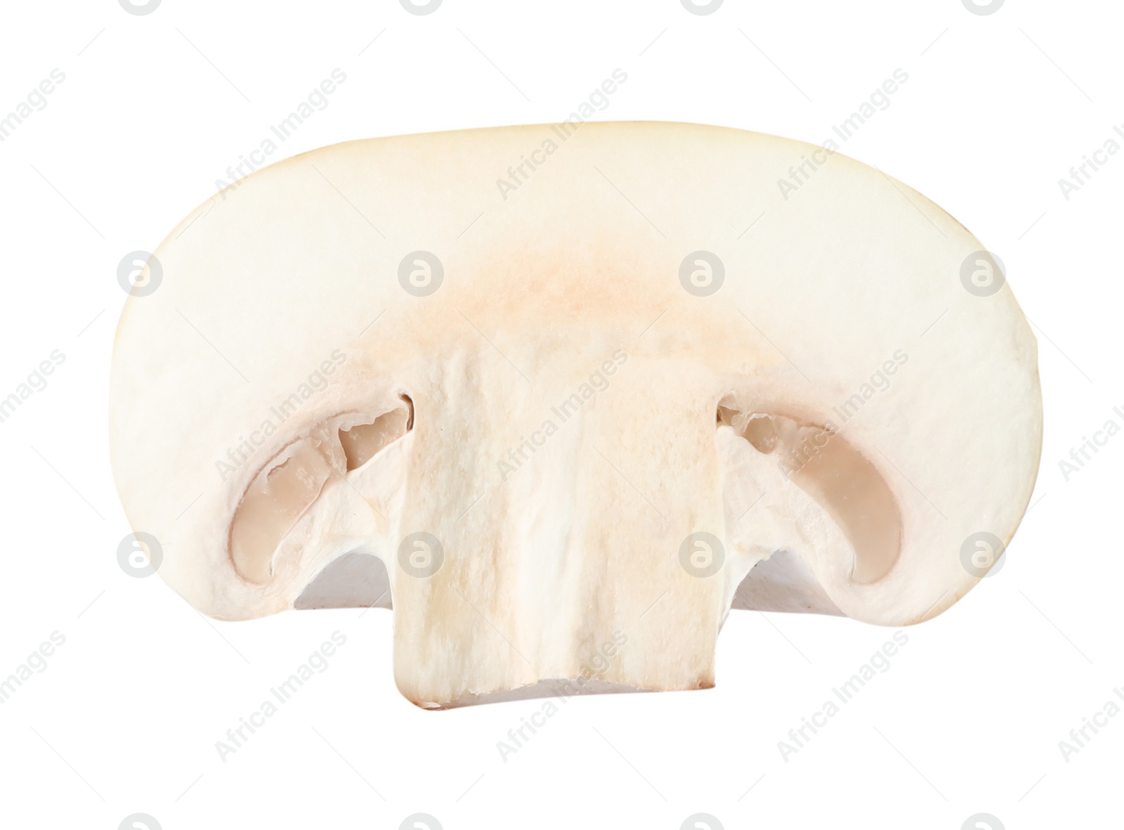 Photo of Piece of fresh mushroom on white background