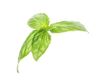 Photo of Fresh green basil leaves on white background