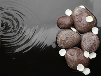 Photo of Spa stones and flower petals in water, top view with space for text. Zen lifestyle