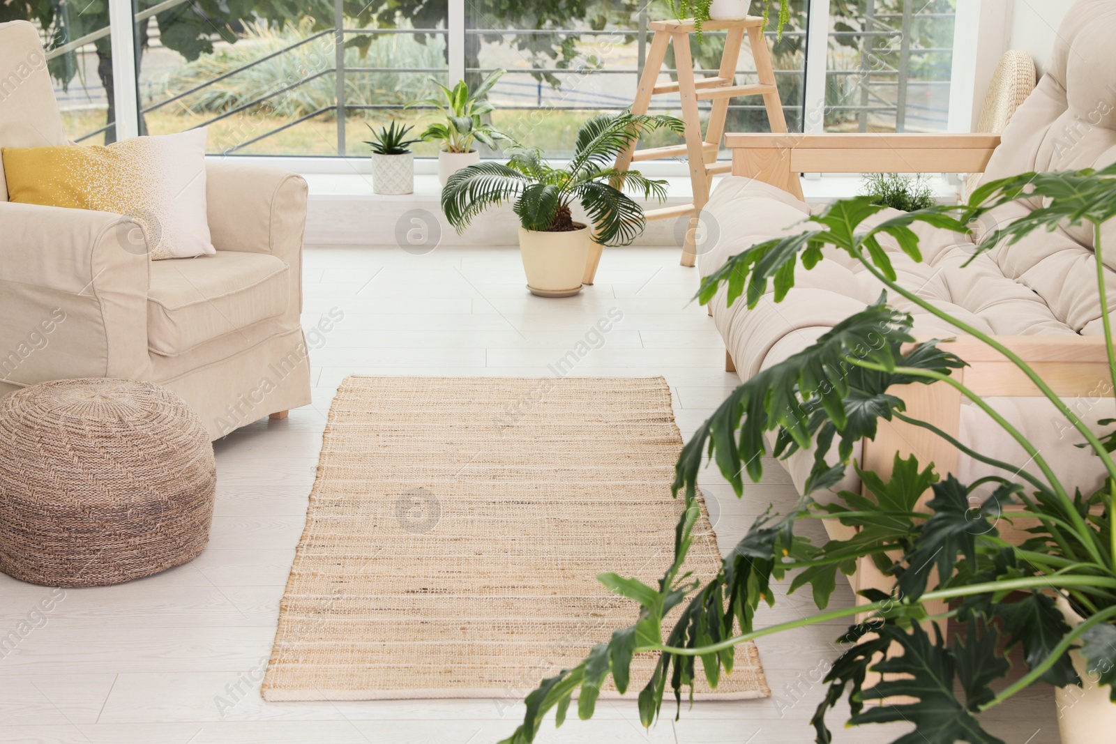 Photo of Stylish living room interior with beige rug, comfortable furniture and plants