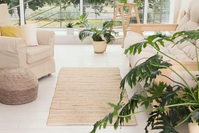 Photo of Stylish living room interior with beige rug, comfortable furniture and plants
