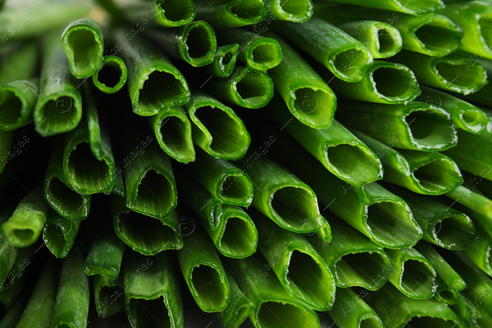 Photo of Fresh green onion as background