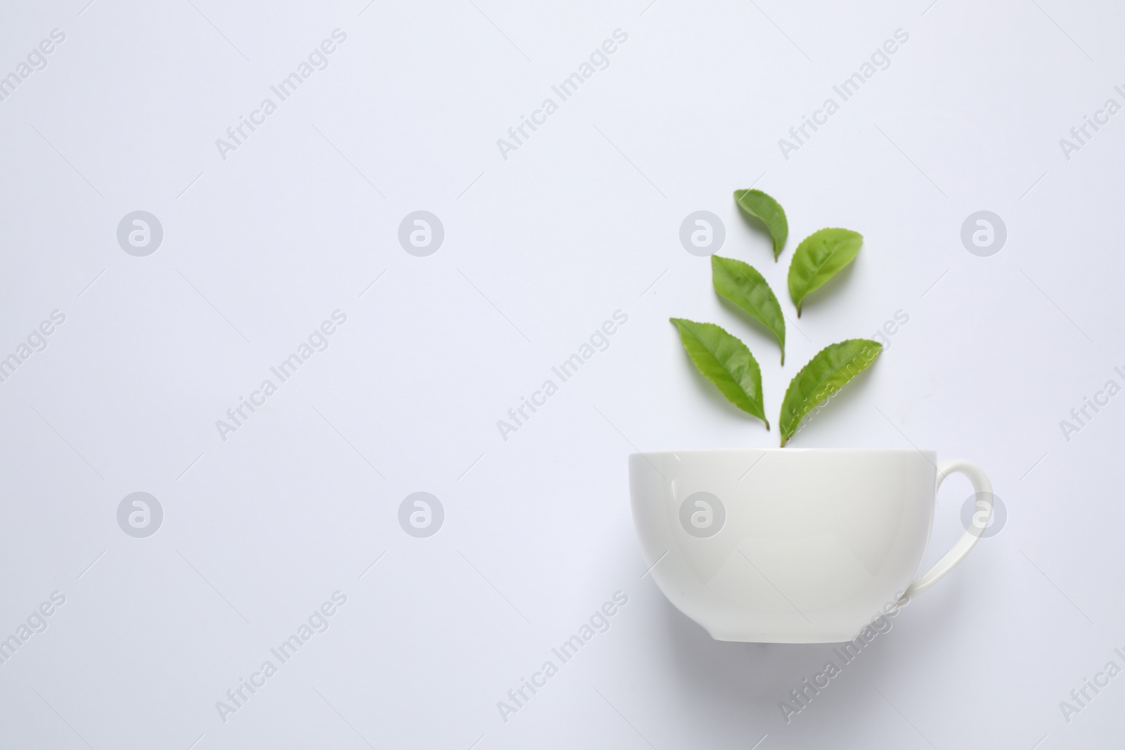 Photo of Fresh tea leaves and cup isolated on white