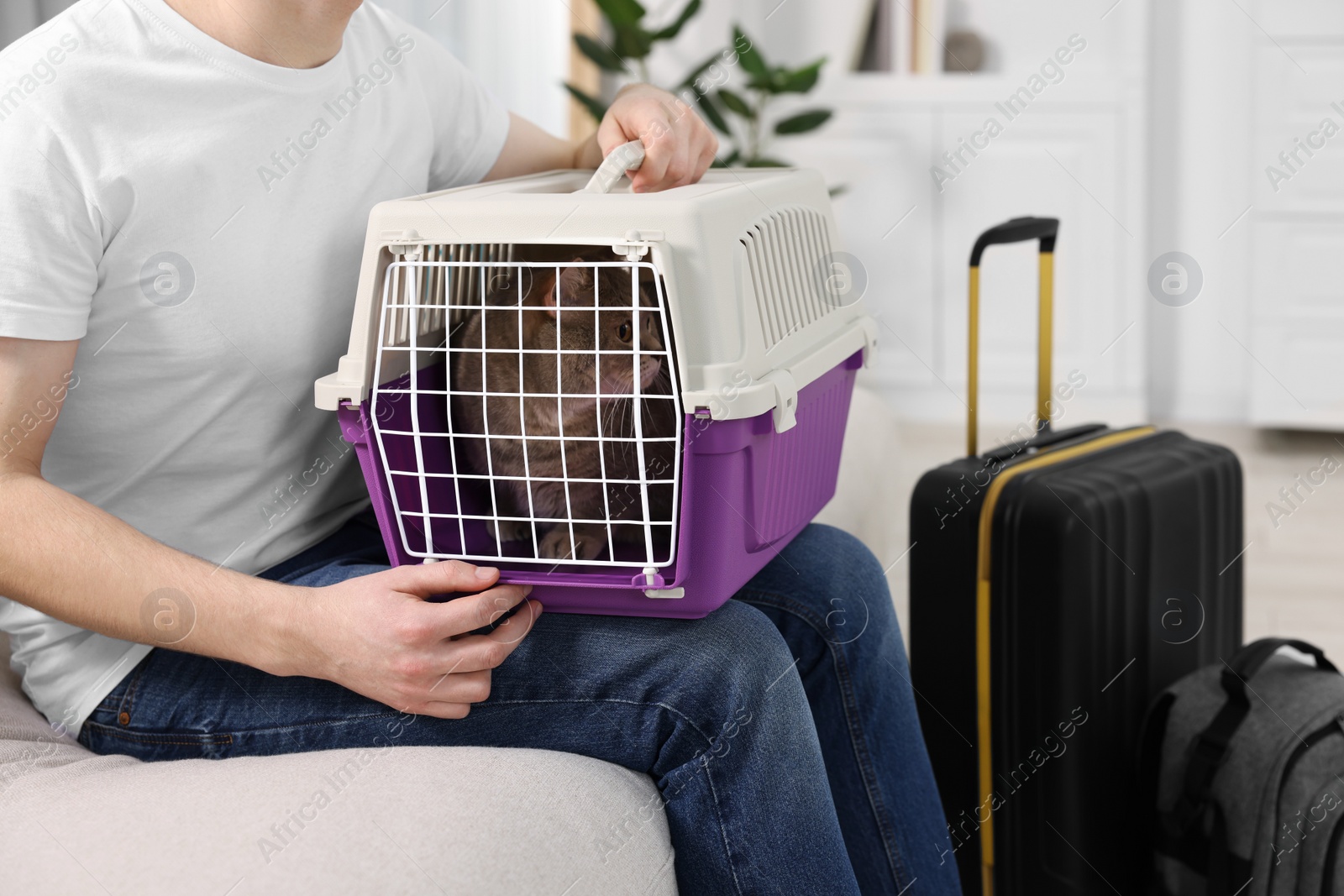 Photo of Travel with pet. Man holding carrier with cute cat on sofa at home, closeup