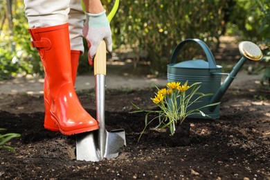 Woman digging soil with shovel outdoors, closeup. Gardening time