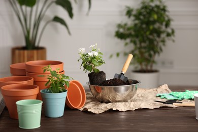 Photo of Transplanting houseplants. Gardening tools, flowers and empty pots on wooden table at home