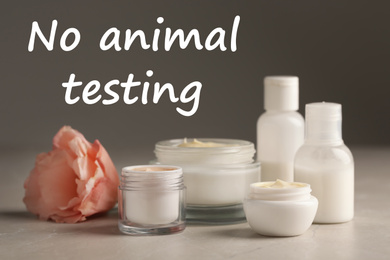 Image of Cosmetic products, flower and text NO ANIMAL TESTING on grey background