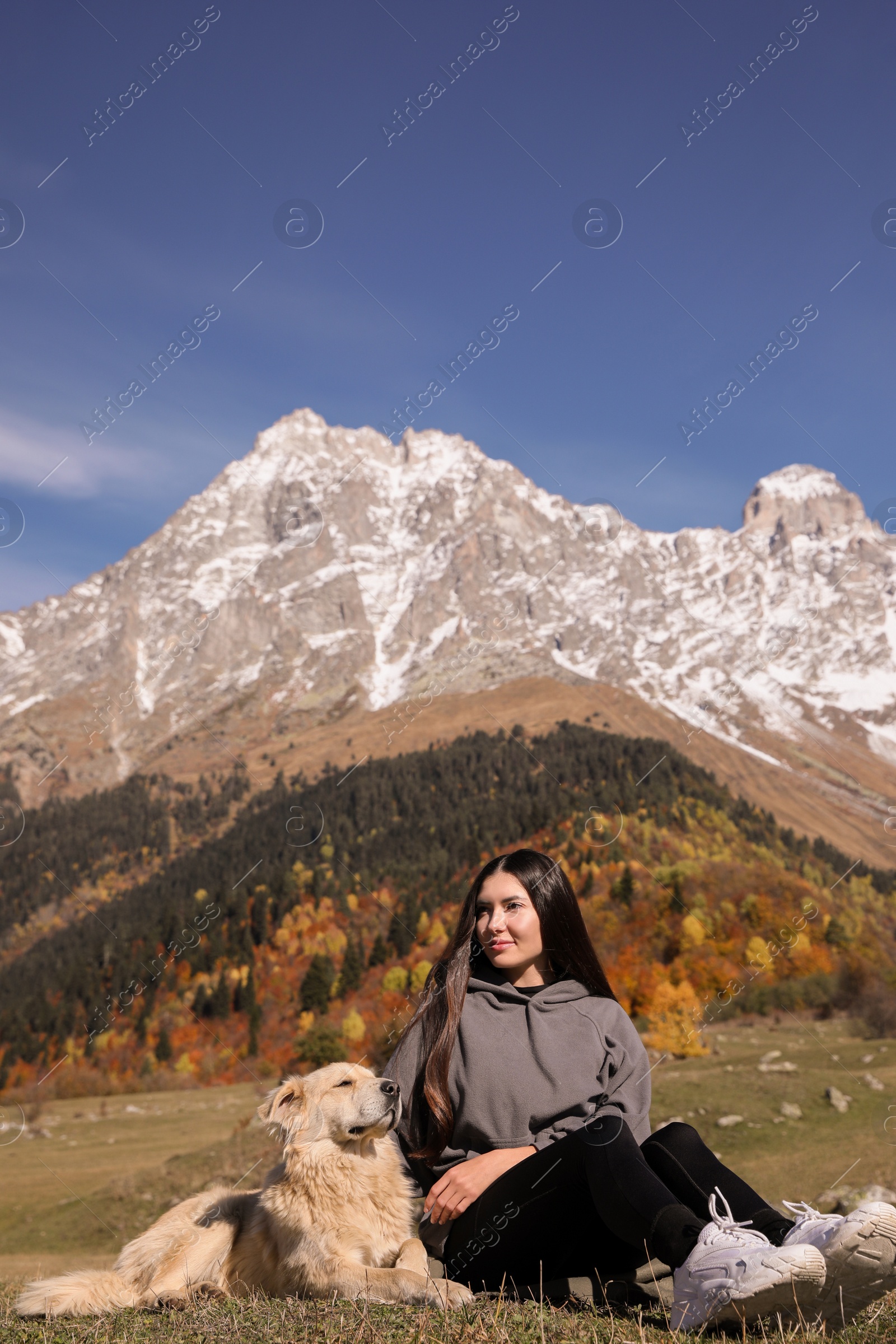 Photo of Beautiful young woman with adorable dog in mountains on sunny day
