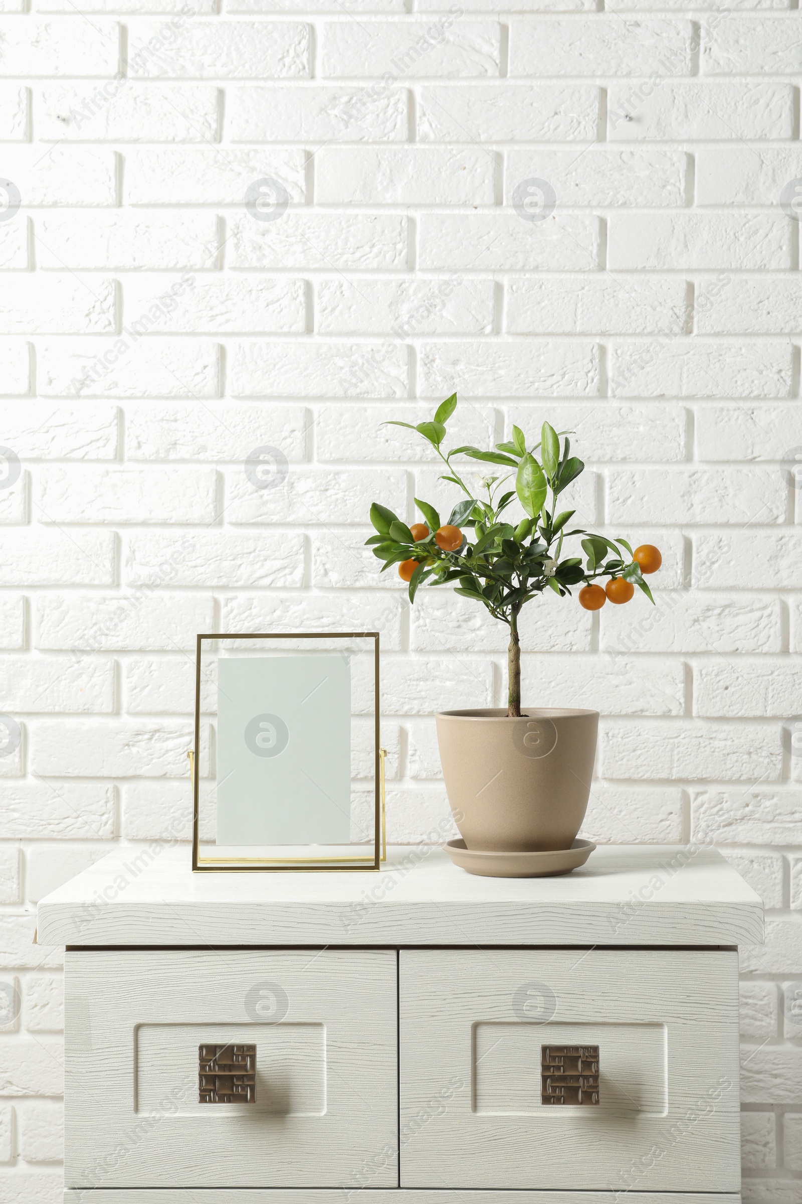 Photo of Potted citrus tree and empty frame on cabinet against brick wall. Space for text