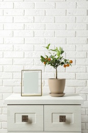 Photo of Potted citrus tree and empty frame on cabinet against brick wall. Space for text