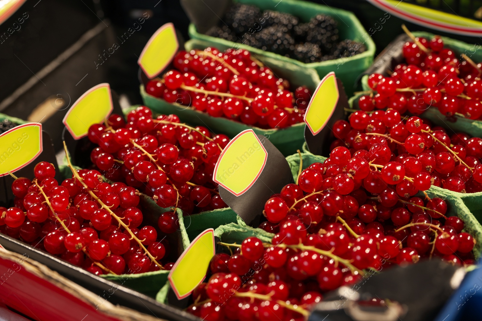 Photo of Many fresh red currants on cardboard containers at market, closeup