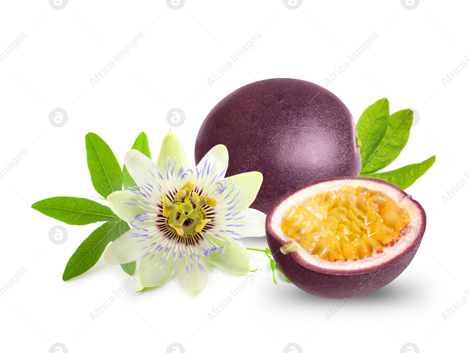 Image of Delicious ripe passion fruits, flower and green leaves on white background